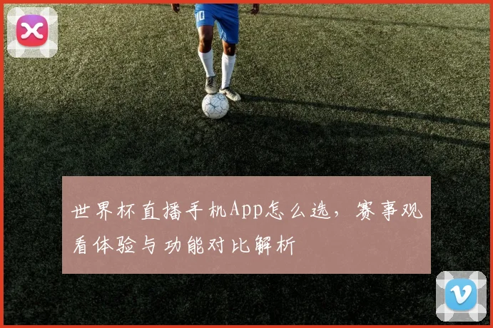 世界杯直播手机App怎么选，赛事观看体验与功能对比解析