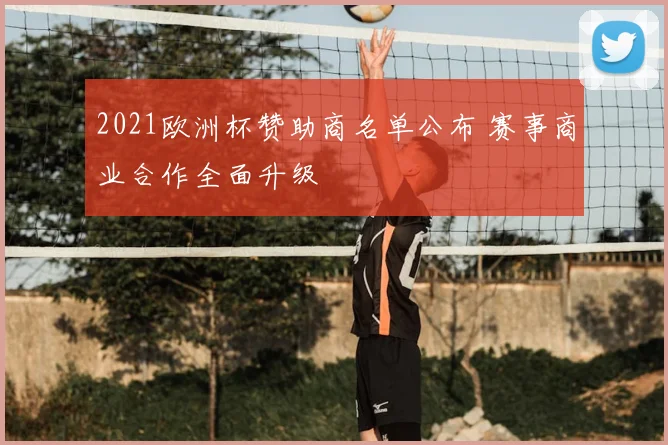 2021欧洲杯赞助商名单公布 赛事商业合作全面升级