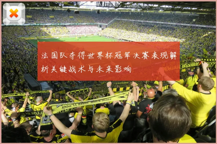 法国队夺得世界杯冠军决赛表现解析关键战术与未来影响